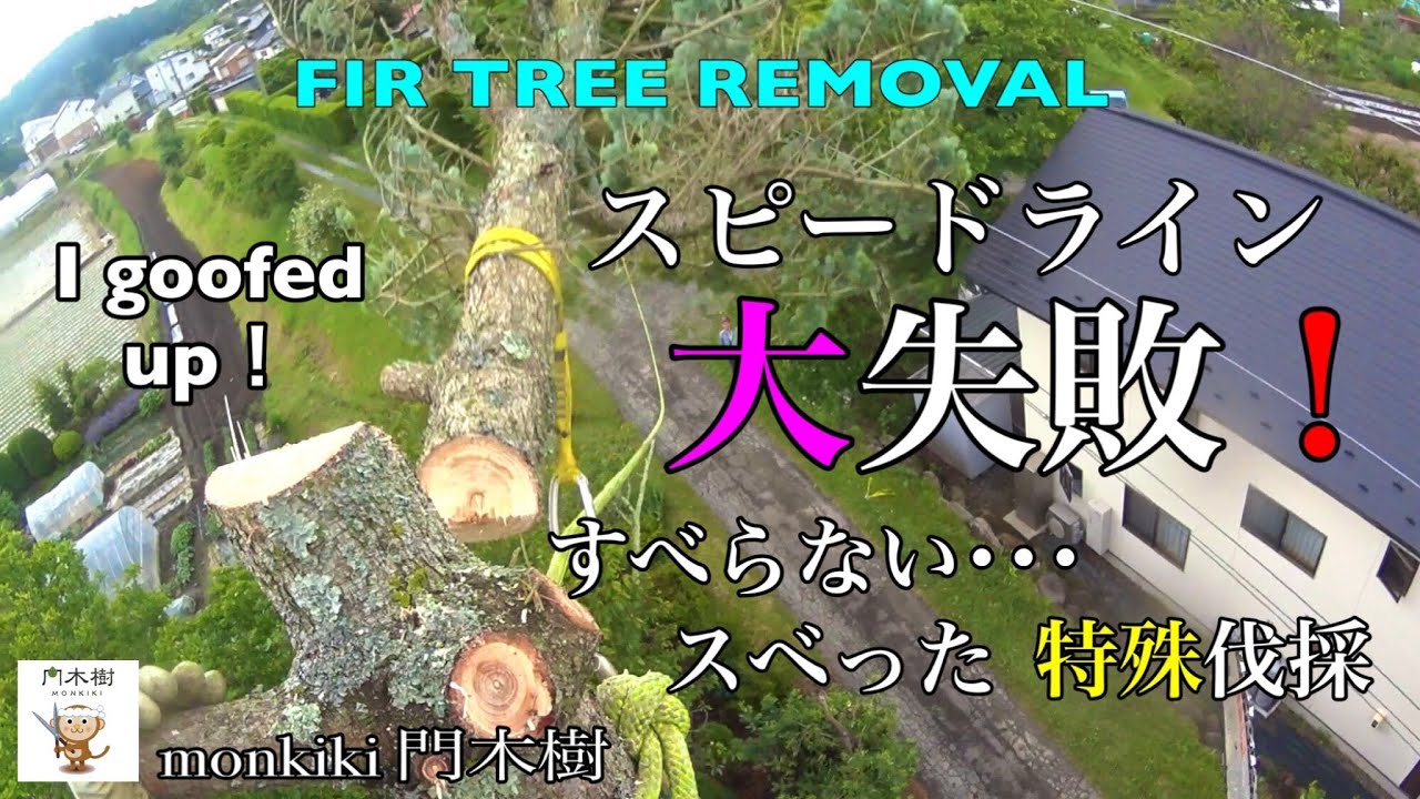 スピードライン 大失敗！モミの木【特殊伐採】 Fir tree removal  すべらない  スベった  伐採  伐倒  電線