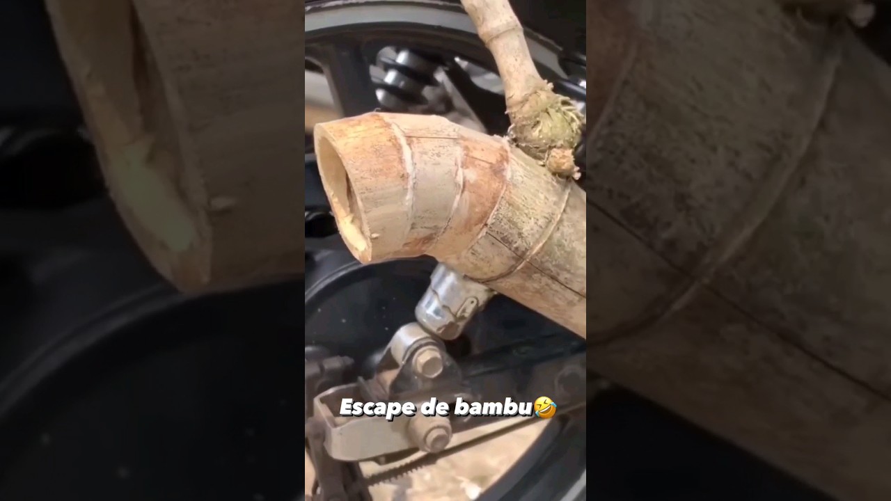 ESCAPE DE BAMBU SER&Aacute; QUE FICA BOM?!😳