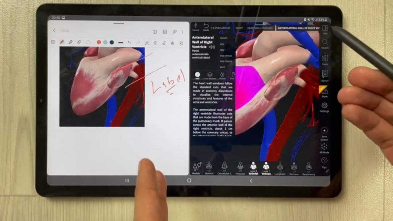 Samsung Notes with Complete Anatomy 2022 - How to Use 3D Atlas with Samsung Notes