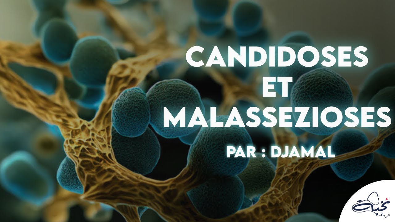 #Parasitolgie - Candidoses et malassezioses + QCMs Par DJAMEL