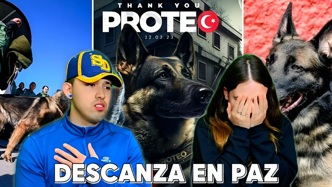 PROTEO 🇲🇽 Muchas Gracias campeón 😭 |  🇮🇹 ItaColombianos 🇨🇴 se rompen 💔
