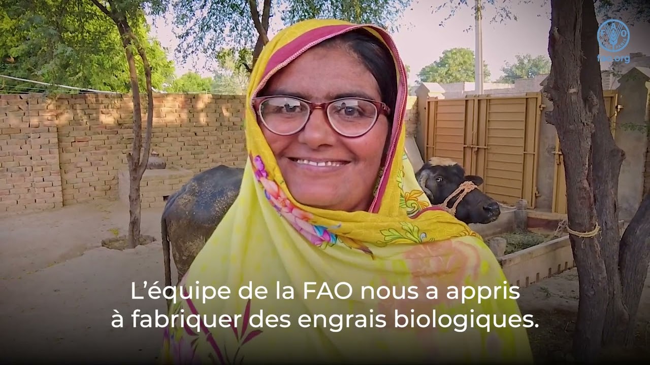 Achieving a better environment in Asia-Pacific through green and climate resilient agriculture (FR)