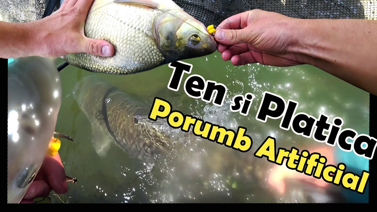 Cel mai tare dril! - TEN și Plătică Mare cu Porumb Artificial