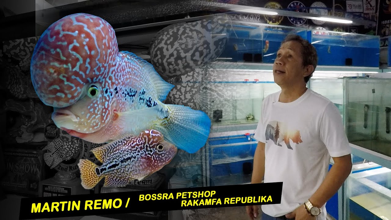 Martin Remo / Bossra Petshop - Rakamfa Republika