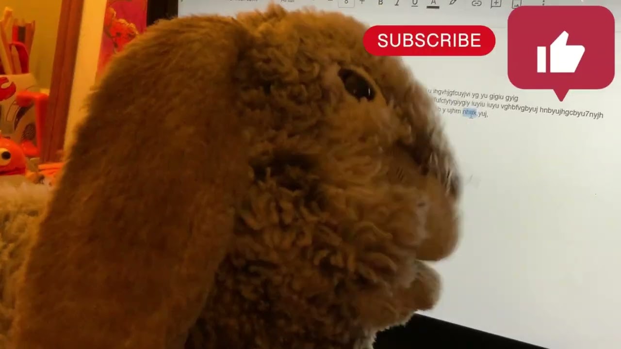 Writing a story with Moobunny!