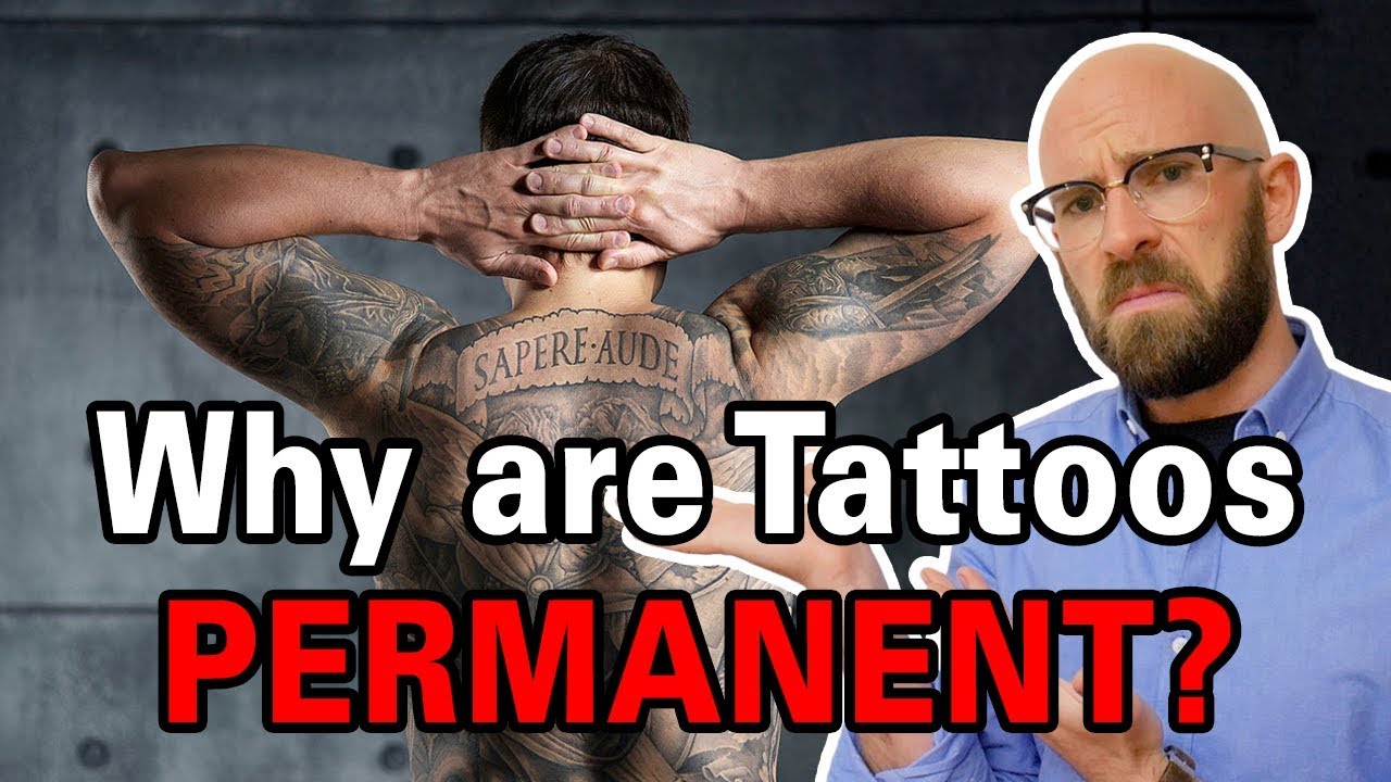 Why Don't Tattoos Fade as Skin Regenerates?