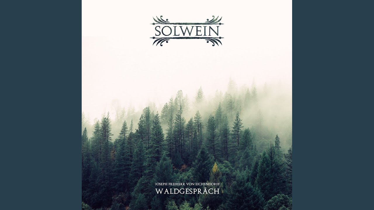 Waldgespräch