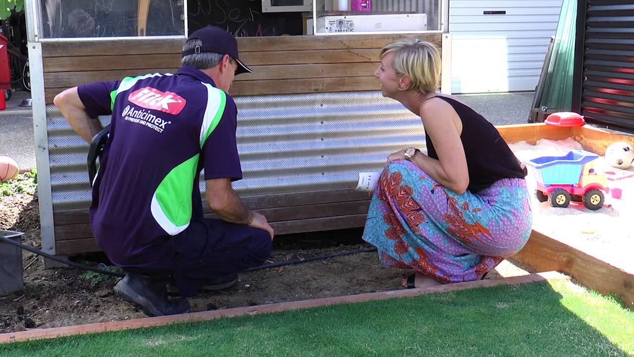 Flick Pest Control - Termite Treatment Sydney