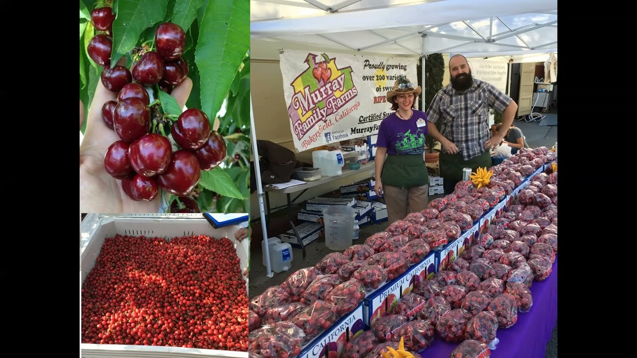 Growing Cherries and Exotic Fruits with Steve Murray