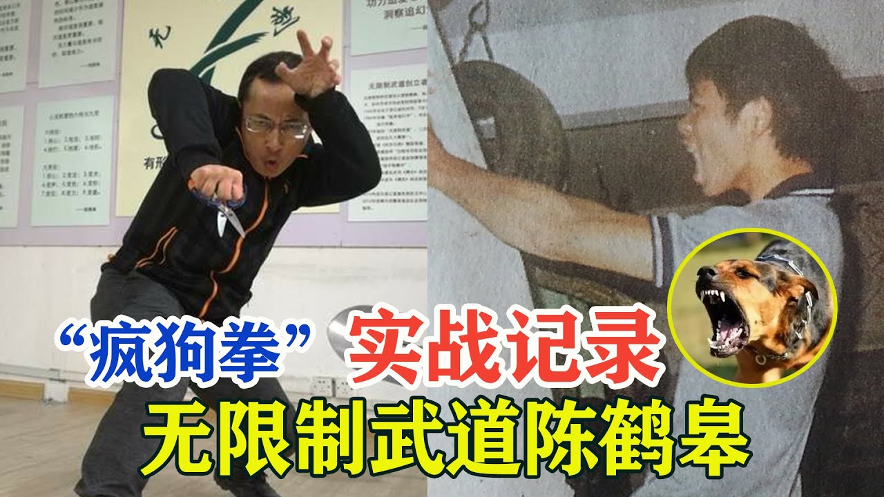神经病都怕的”疯狗拳“，曾挑战搏击选手，1人独战12人不落下风，陈鹤皋与弟子的风云往事！Scary Kung Fu Master VS MMA【搏击先锋】
