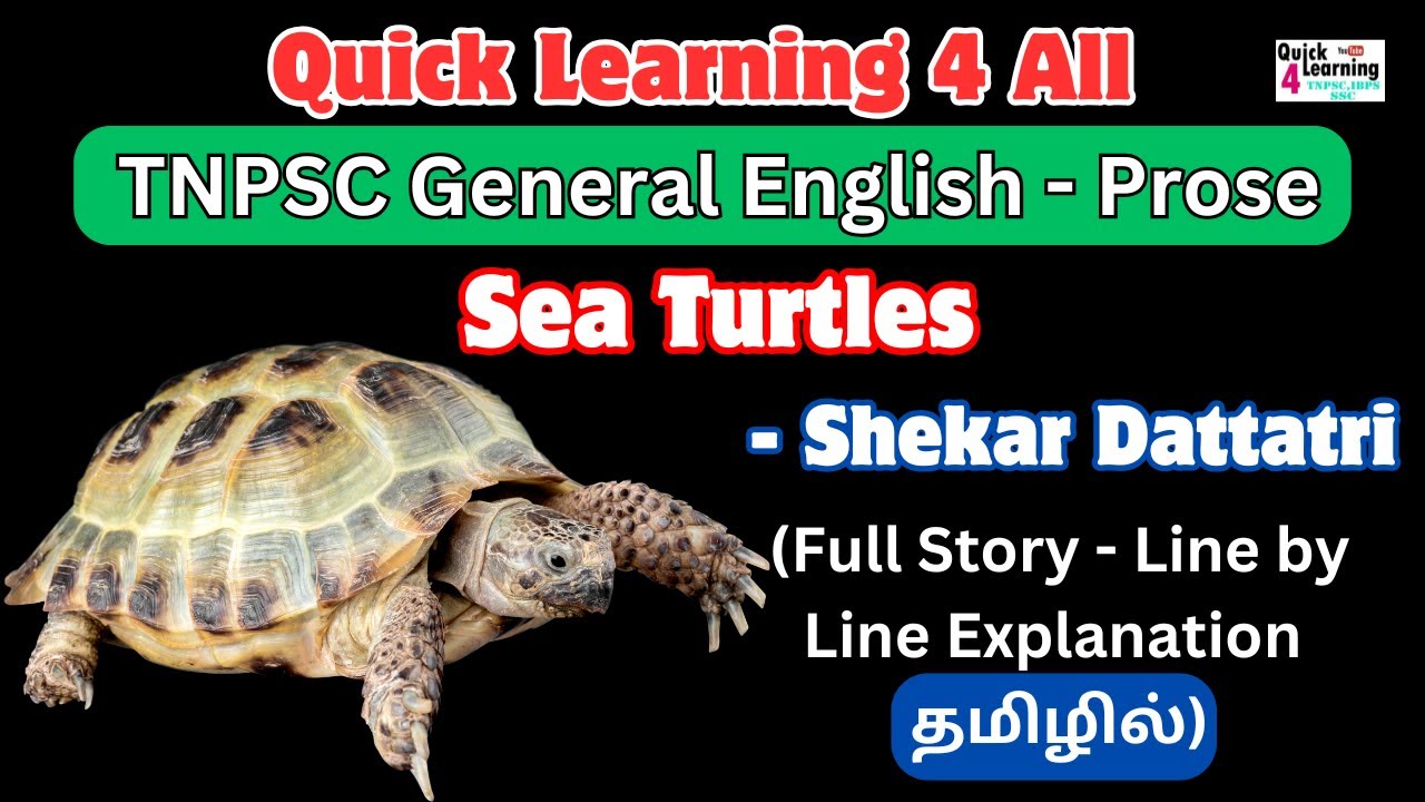 Sea Turtle 🐢 🐢 🐢 Shekar Dattatri TNPSC Prose | 6th Standard Samacheer Kalvi | Quick Learning 4 All |