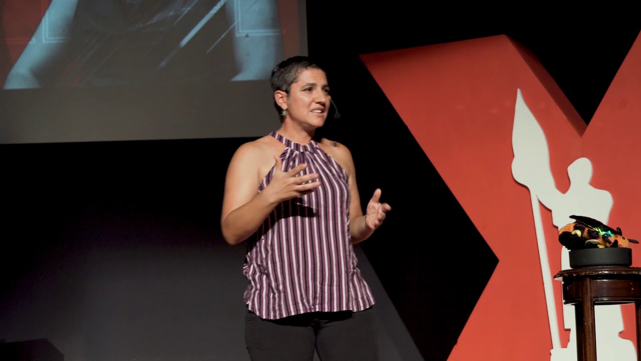 ¿A QUIÉN LE IMPORTAN LOS INSECTOS? | Ek del Val de Gortari | TEDxUniversidadMichoacana