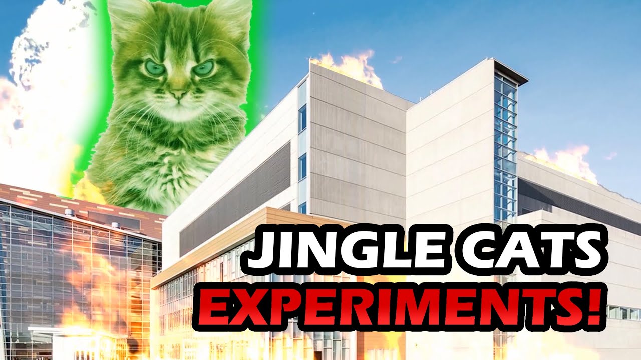 THE JINGLE CATS EXPERIMENTS #JingleCats2020