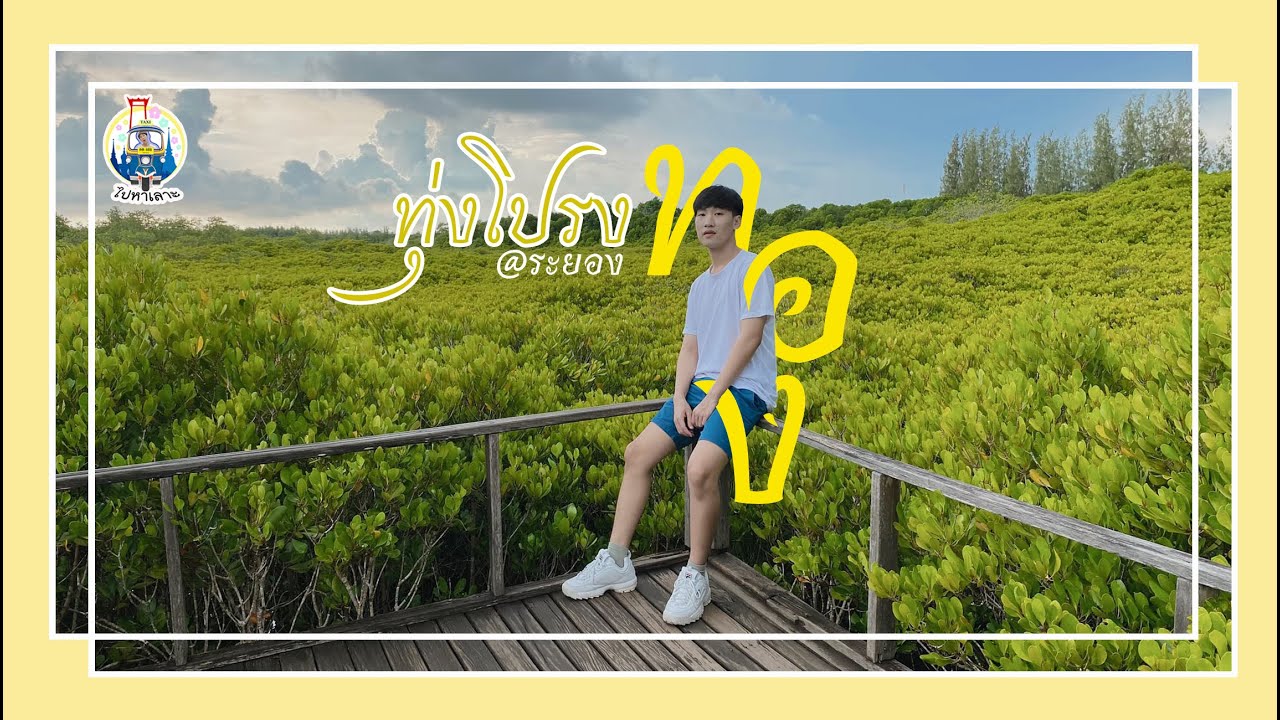 เที่ยวทุ่งโปรงทอง เลาะคลองแสมผู้ จุ๊กกรู้! ณ ระยอง กับindymeen l ไปหาเลาะ - ทุ่งโปรงทอง @ระยอง ฮิ!