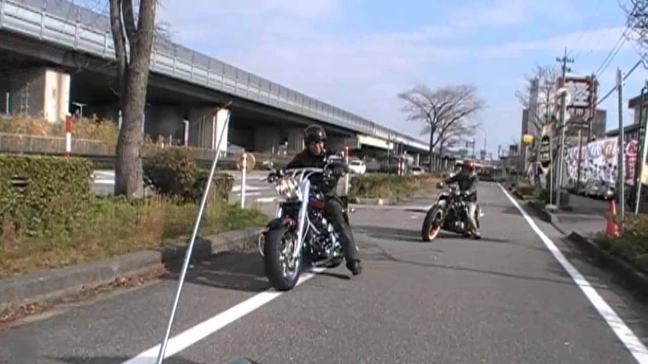 Harley dabidson Team Bonds pv