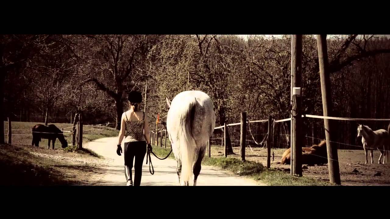 you have a lot of passion for what you are doing.