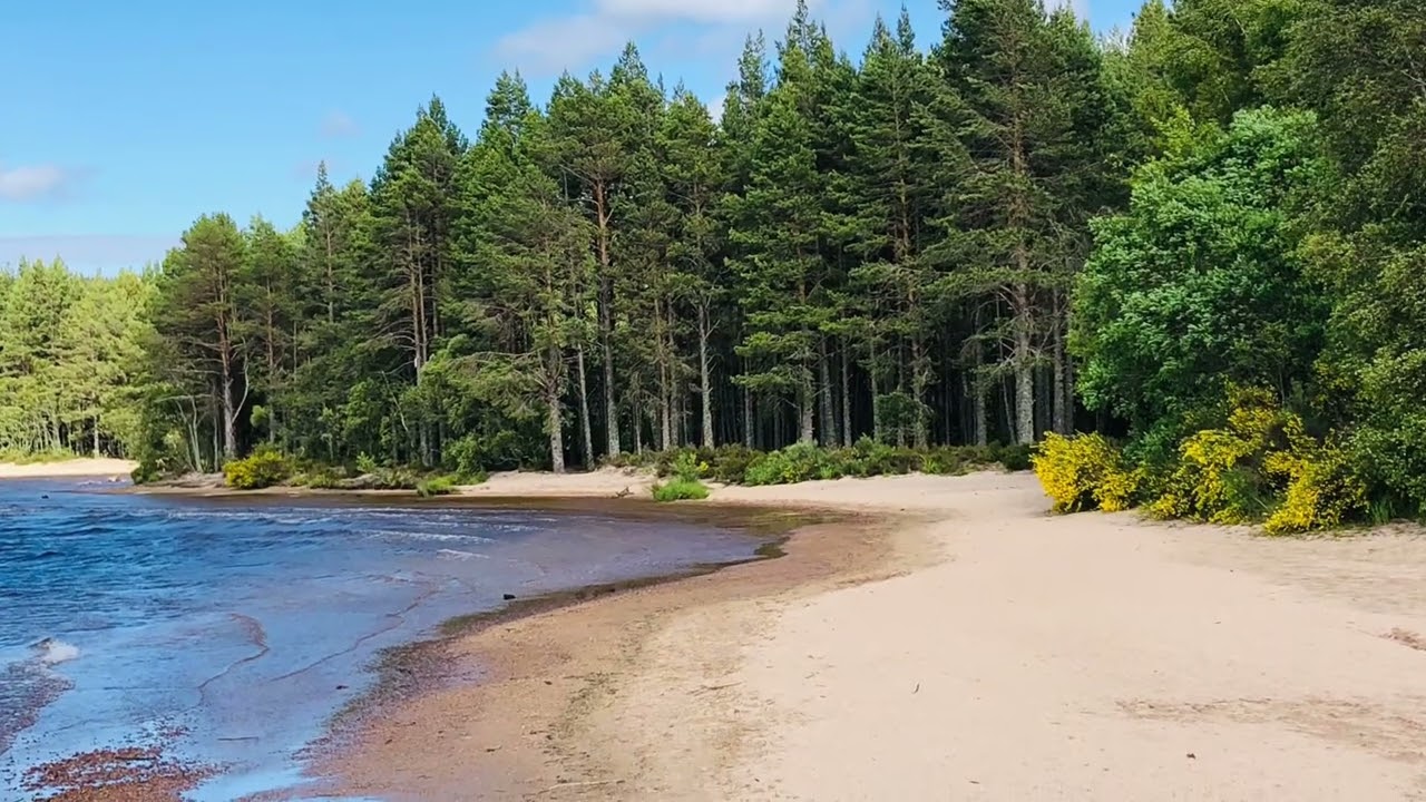Loch Morlich & Glenmore Campsite