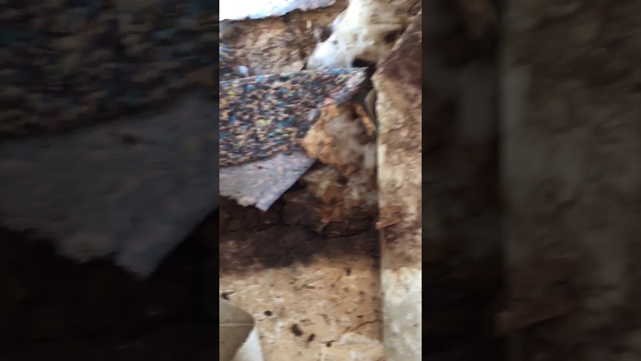 Exposing Secret Water Damage Under RV Flooring