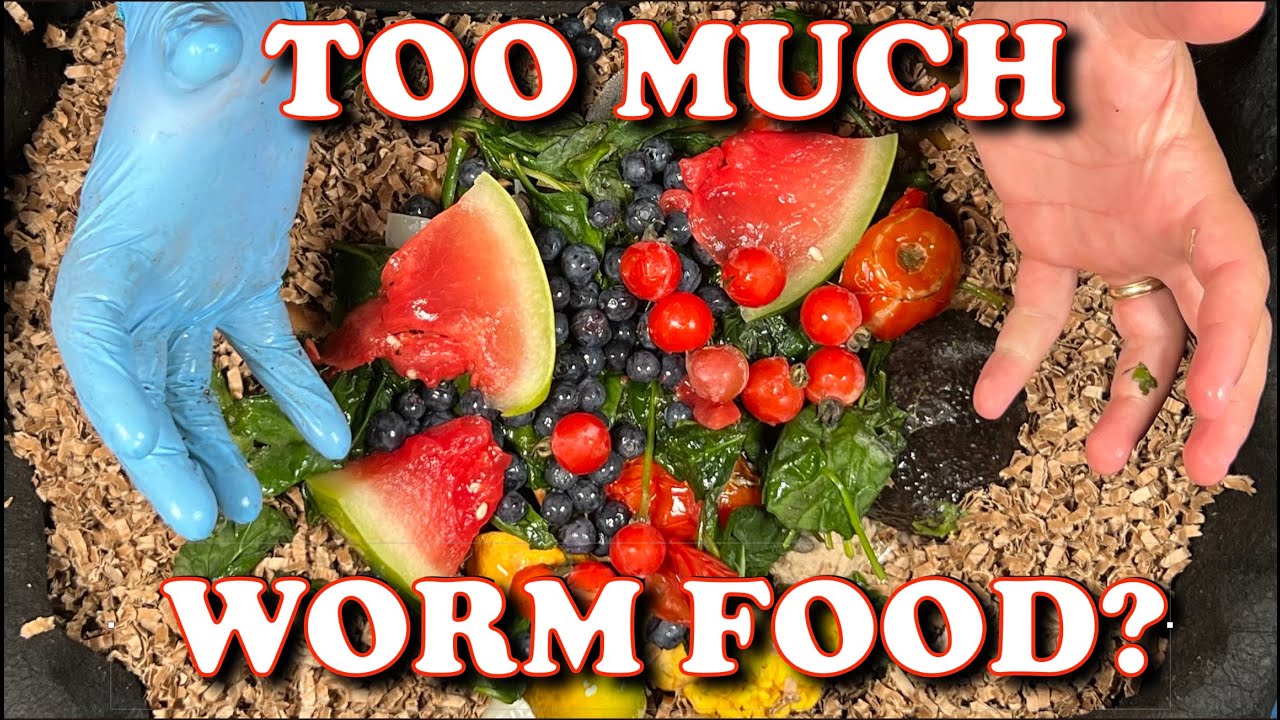 How Much Food Is Too Much For Compost Worms | Vermicompost Worm Farm