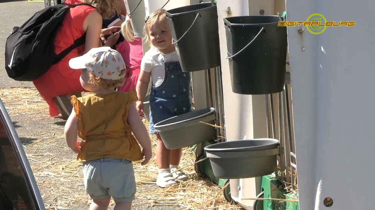 Duizenden bezoekers Open Dag Den Eelder