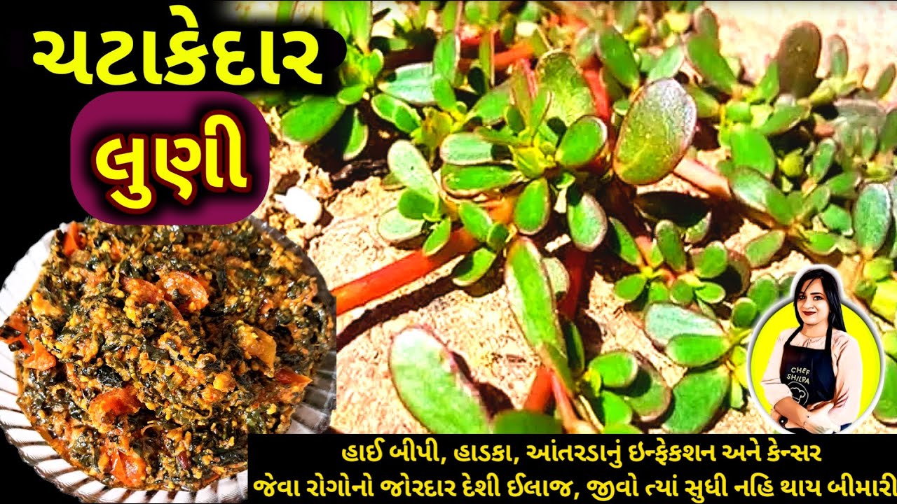 ચટાકેદાર લુણીની ભાજી,kulfa recipe,lunini bhaji,લુણીની ભાજીનુ શાક,ભાજી,લુણીની ભાજી બનાવાની રીત