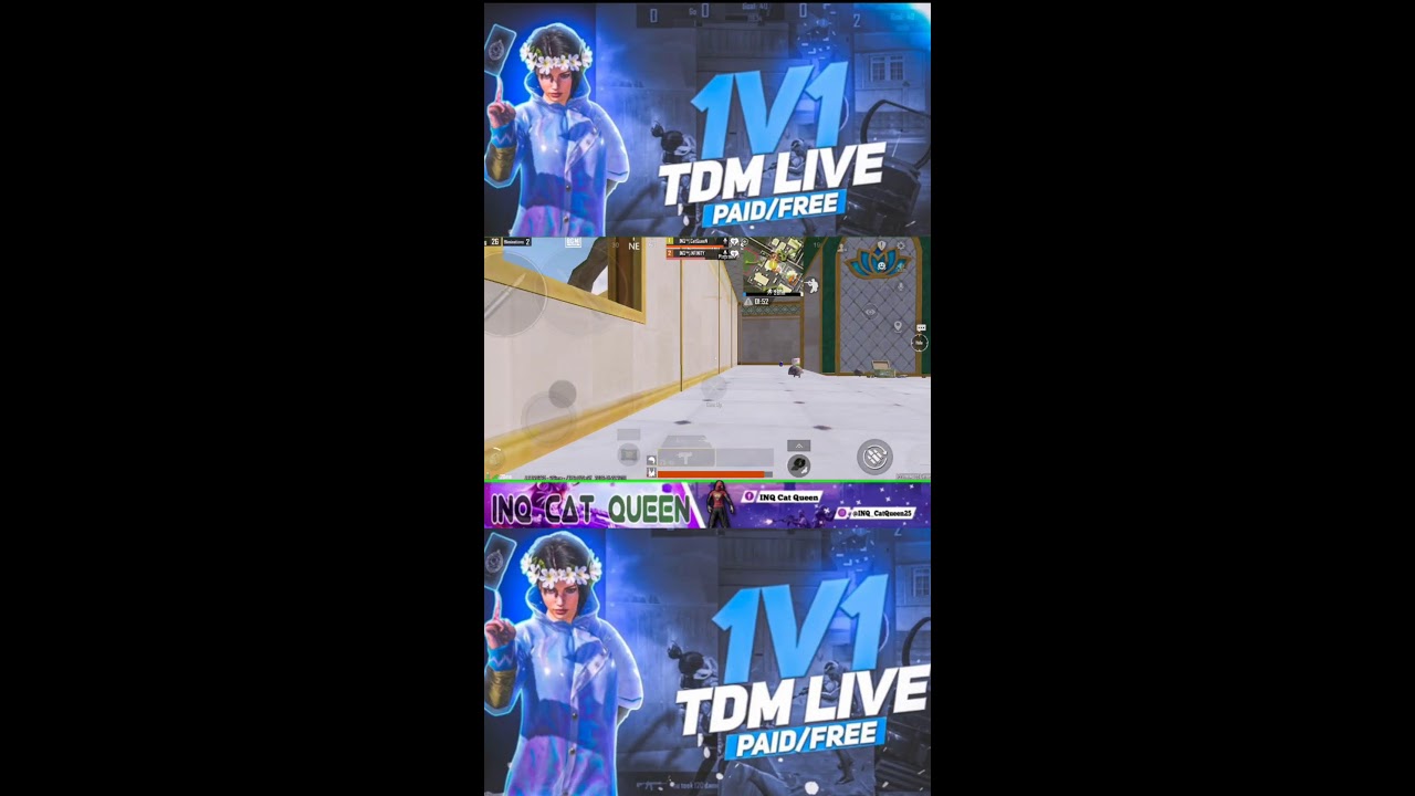 inq cat queen is live ,kya samjhe ....