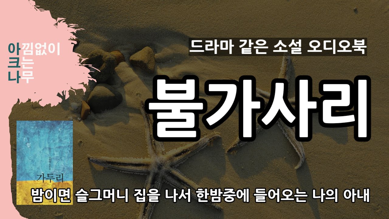 불가사리 | 밤이면 슬그머니 나가서 한밤중에 돌아오는 아내 | 김창애 단편소설 | 드라마같은 소설듣기 | 잠들기전 책 한권| 오디오북 | ASMR |