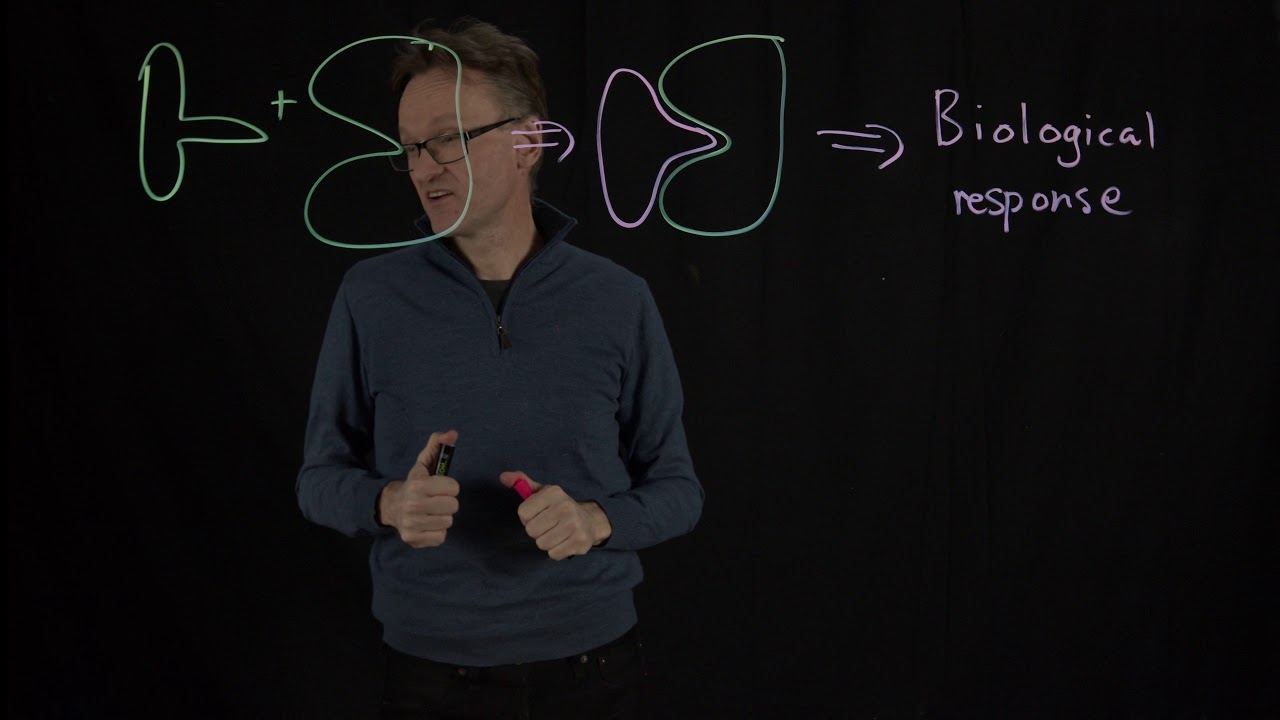 Lecture 12, concept 03: From biology to target proteins to binding sites