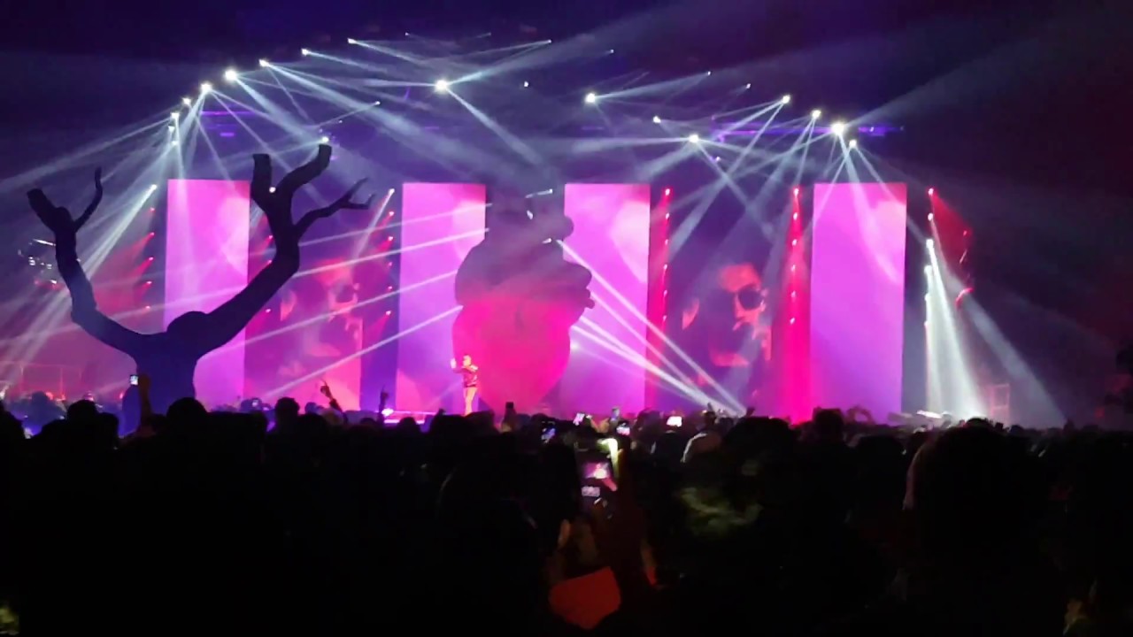 PNL - Je Vis Je VIsser (Bercy 21/11/2017)