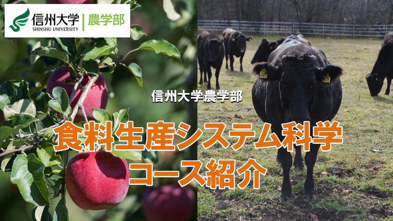 【信州大学農学部2025年4月～コース再編】食料生産システム科学コース