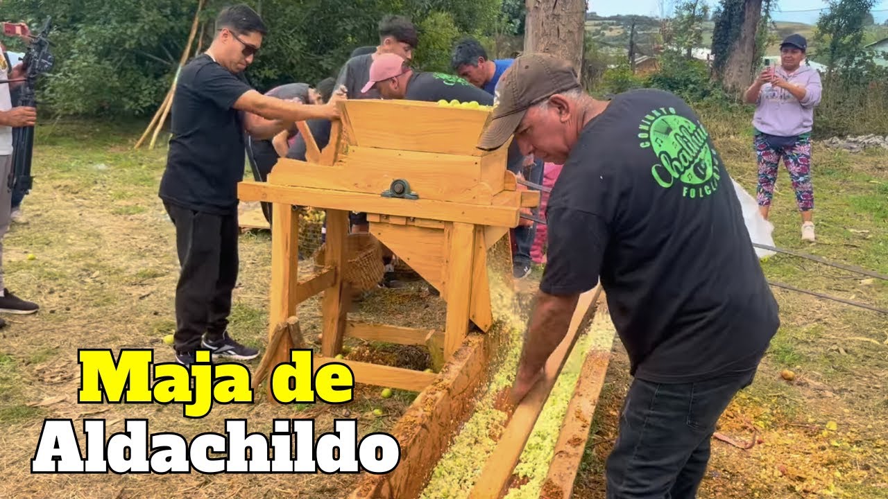 Tradicional evento COSTUMBRISTA de la MAJA DE ALDACHILDO 🍏🍖🥔🌳 
