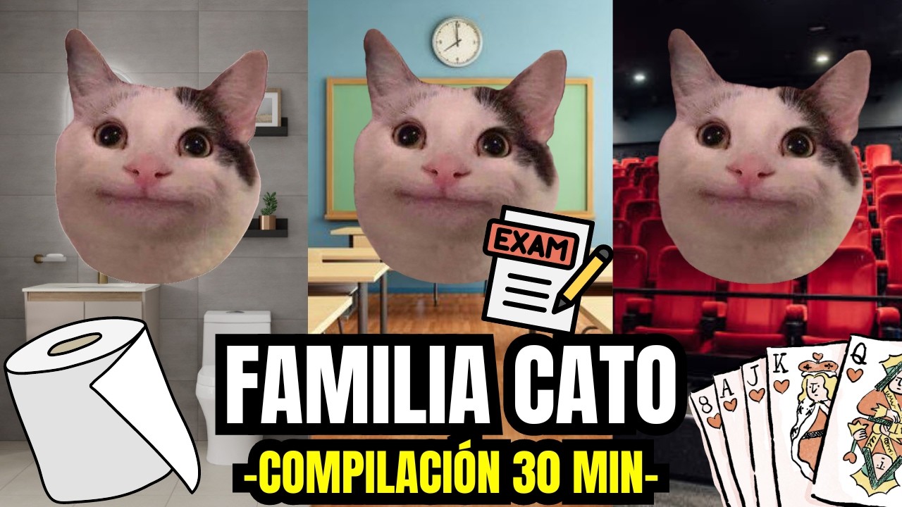 FAMILIA CATO , compilación 30 minutos (meme de gatos)