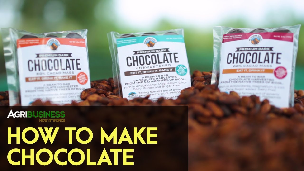 Cacao Pod to Chocolate Bar: How To Make Chocolate | Agribusiness How It Works