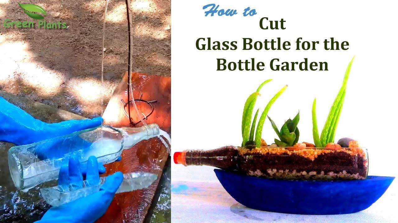 How to Cut Glass Bottle for the Bottle Garden//GREEN PLANTS