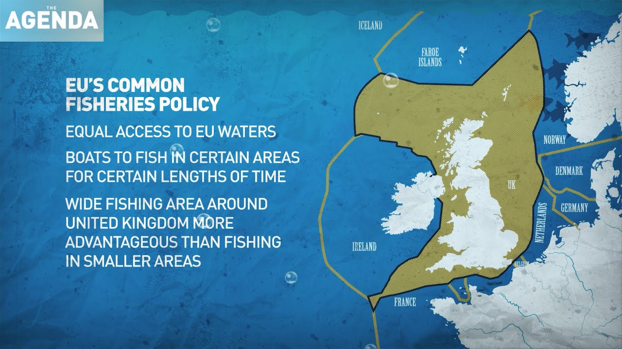 EU fishing future after Brexit