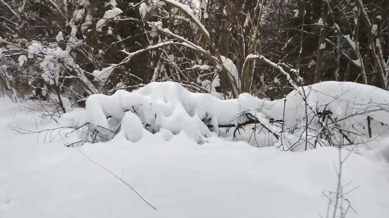 17 февраля 2026 г.