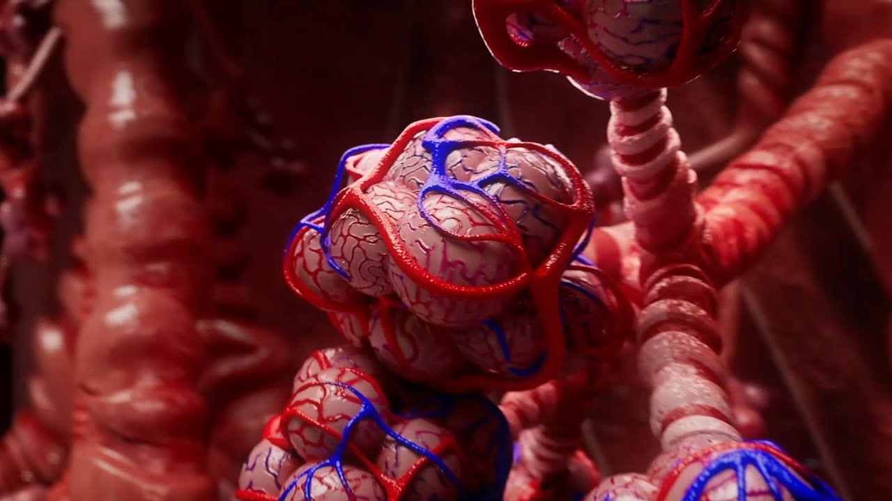 3D-Animation für Helmholtz Zentrum München | by MARC ANTÓN