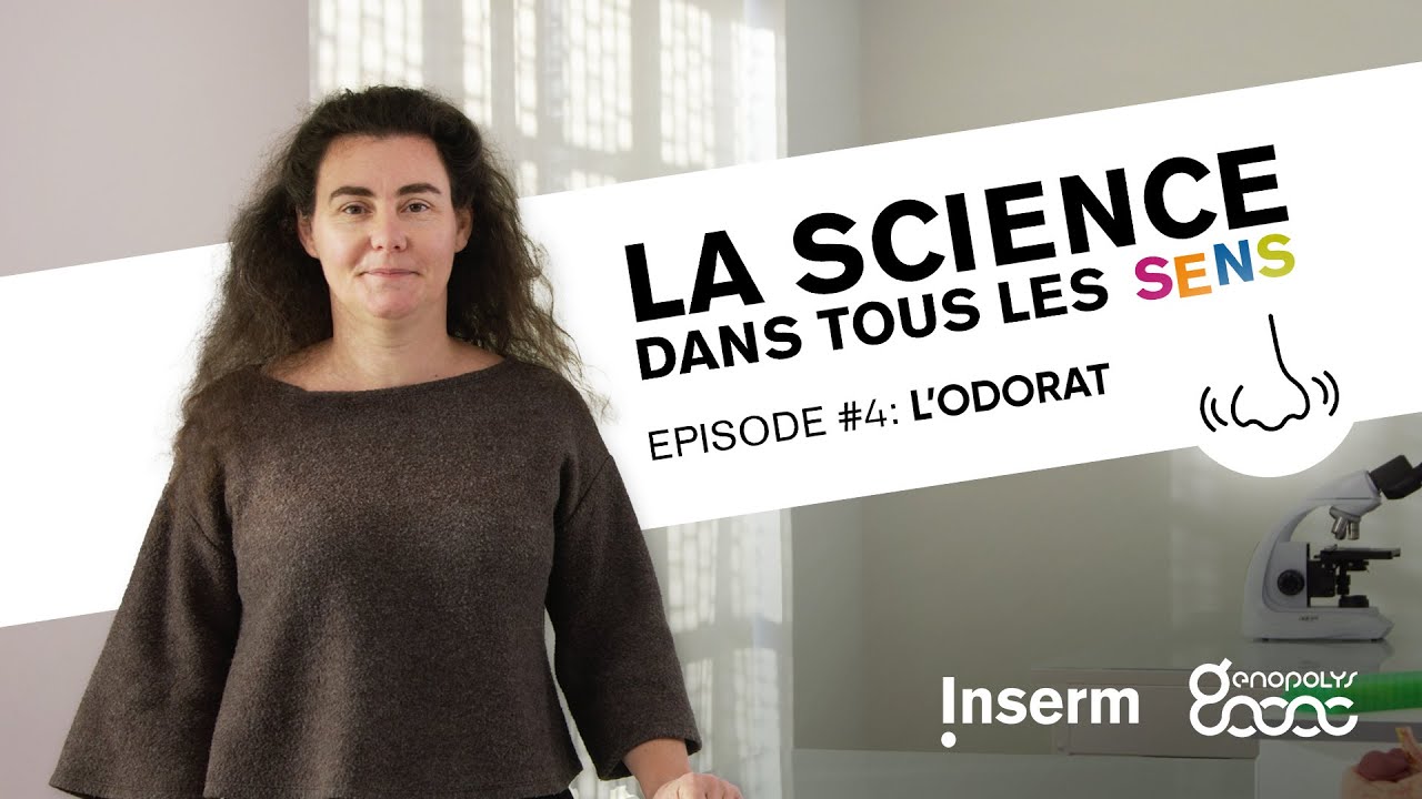 La science dans tous les sens : l'odorat