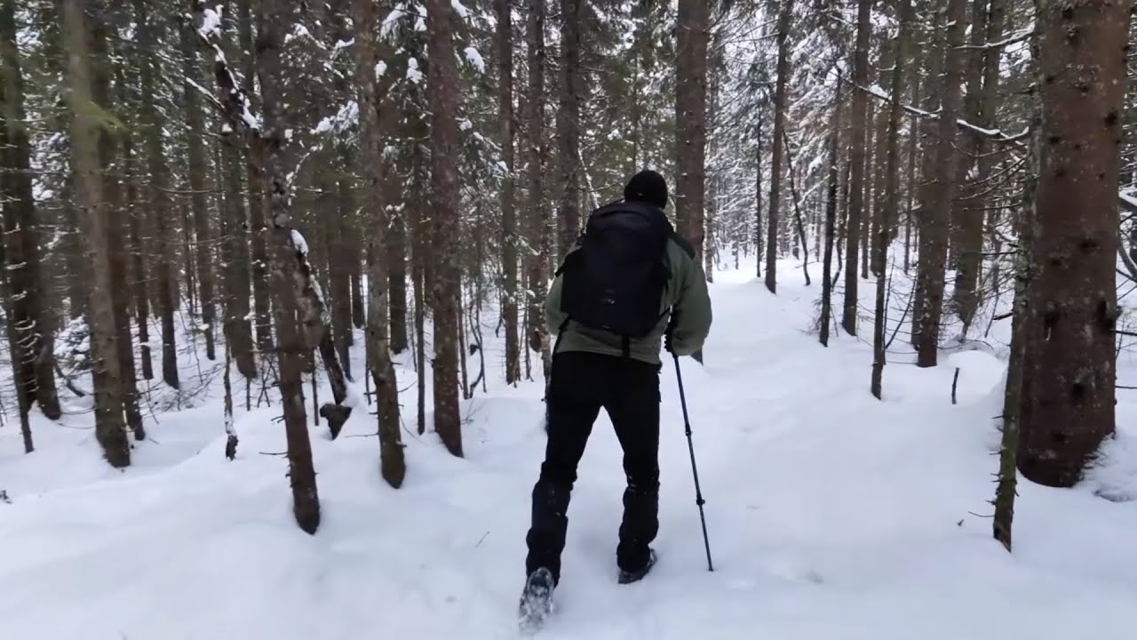 Hiking on summer trails in the Norwegian winter forest with Neo 2 and Action 6