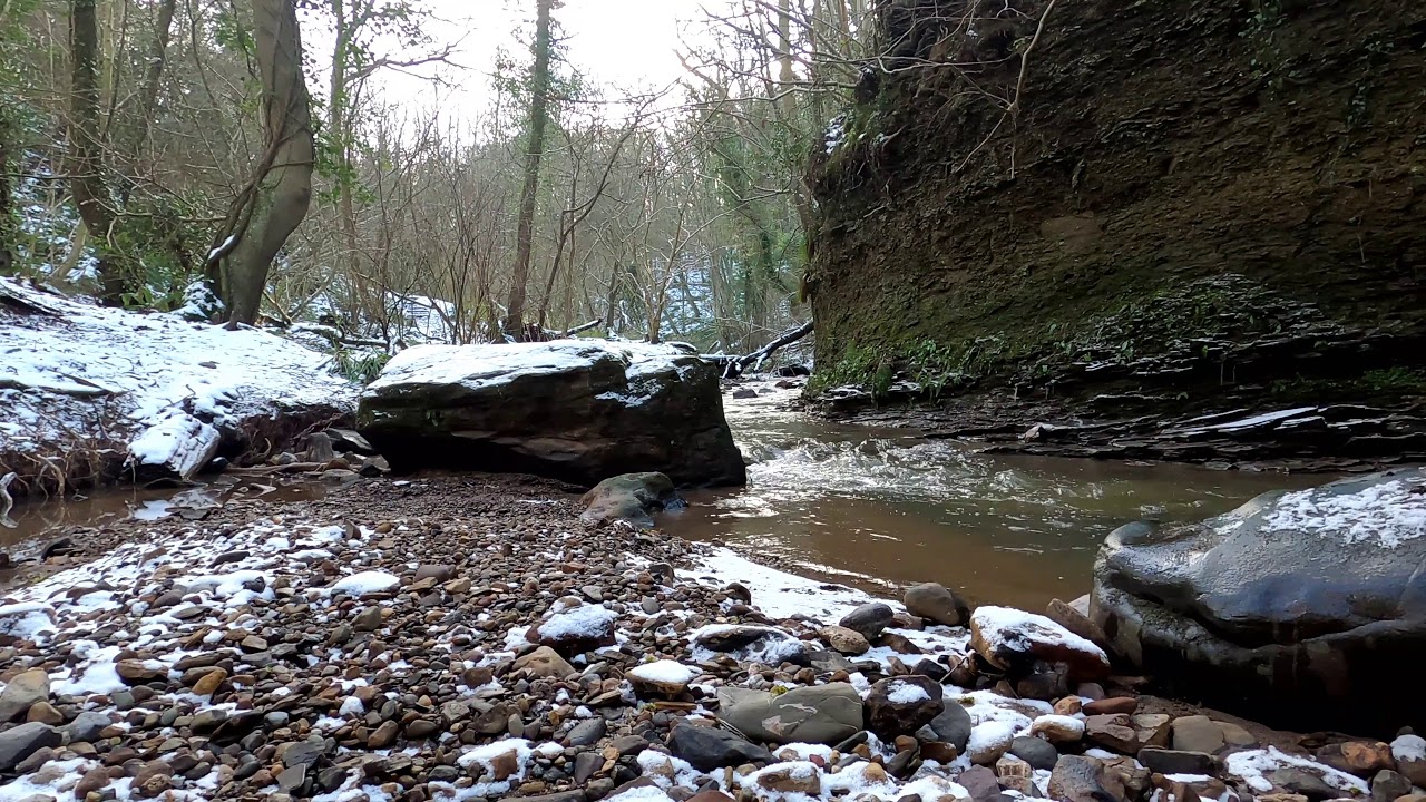 Mindfulness Walk and talk 6 part 2 - Skelton - Lumpsey Pit  - Brotton Wood