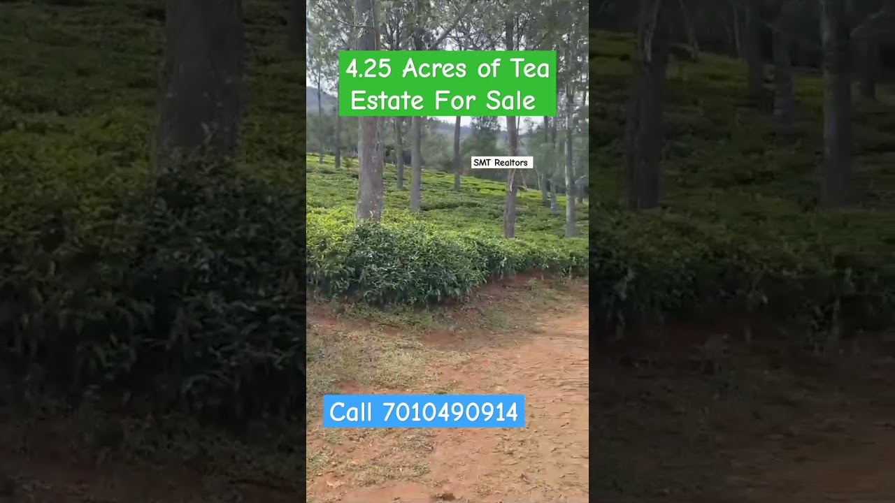 4.25 Acres of Tea Estate For sale near Kotagiri #realestate #100acress #investment #nature #property
