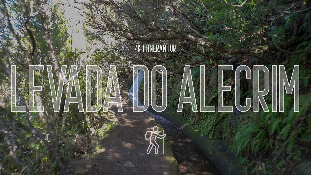 Мадейра, Португалия - Виртуальная прогулка 4K - Levada Do Alecrim (полный тур) Остров Мадейра 2020