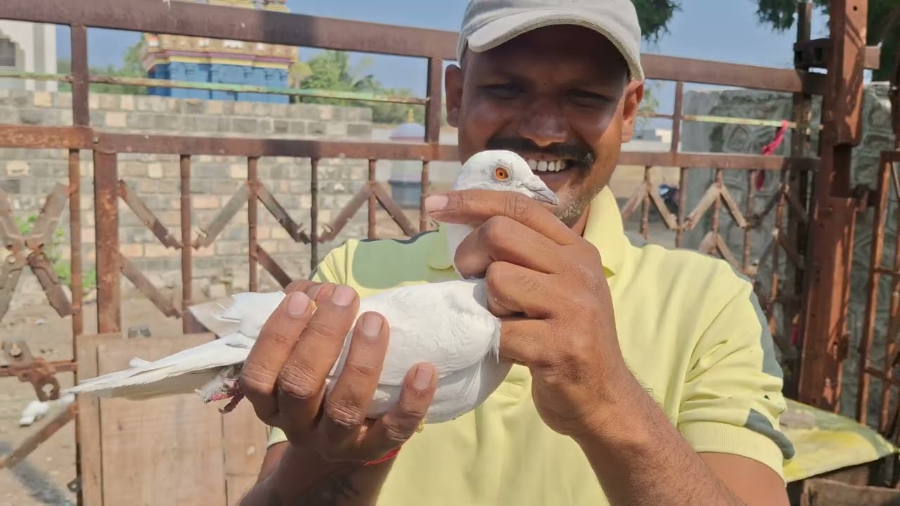 किरण आप्पा माने 🕊️पंढरपूर 🕊️ old his gold 💯