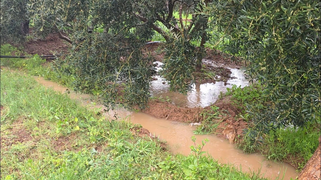 تساقط أمطار الخير🌧 من وسط البادية قرية أركمان شوفو الاجواء تبارك الله
