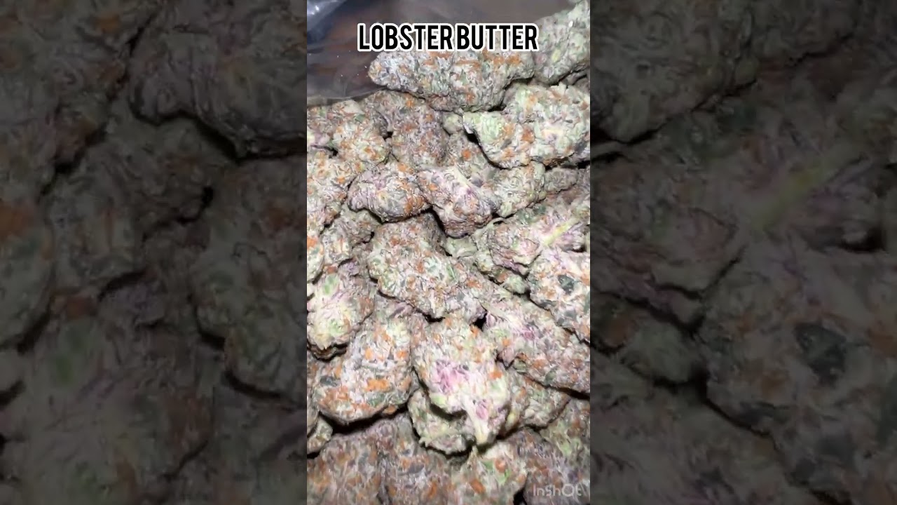 Warheadz, lobster butter, zruntz packs