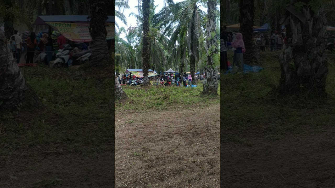 penyisihan galas open sirkuit exalga tandikat labusel sumut