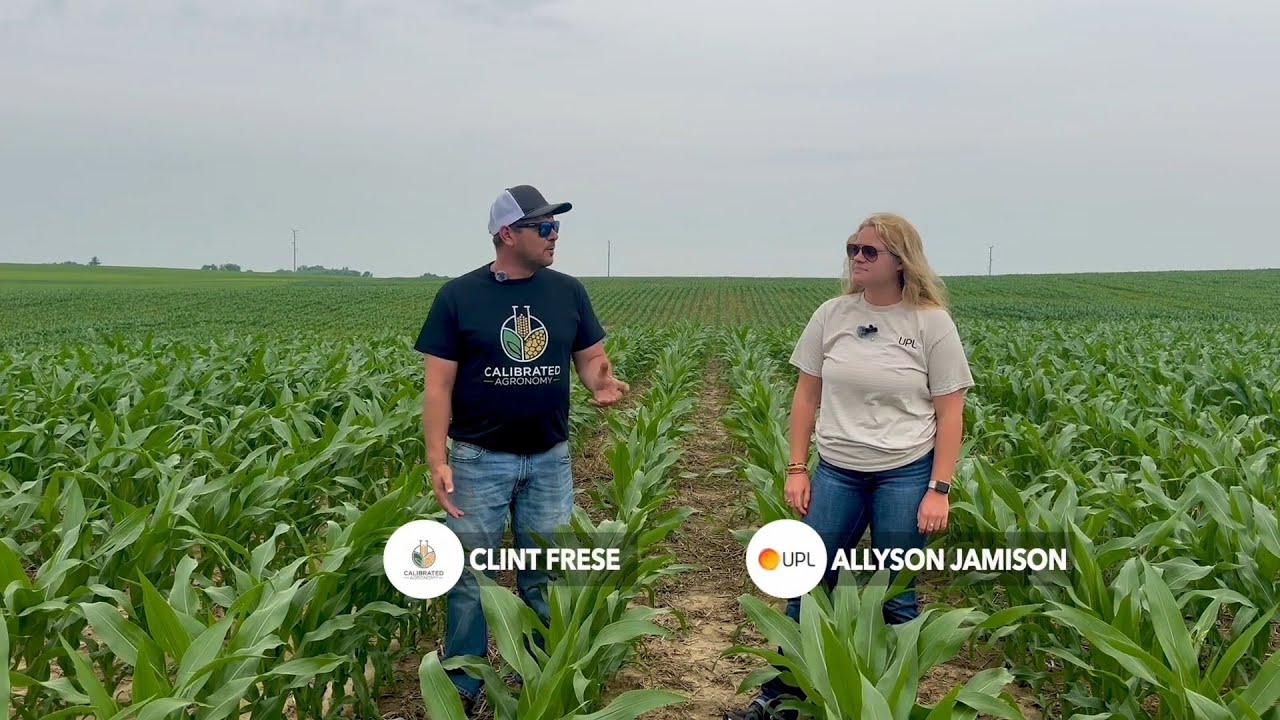 How Clint Frese Is Cleaning Up Waterhemp Without the Same Old Mix