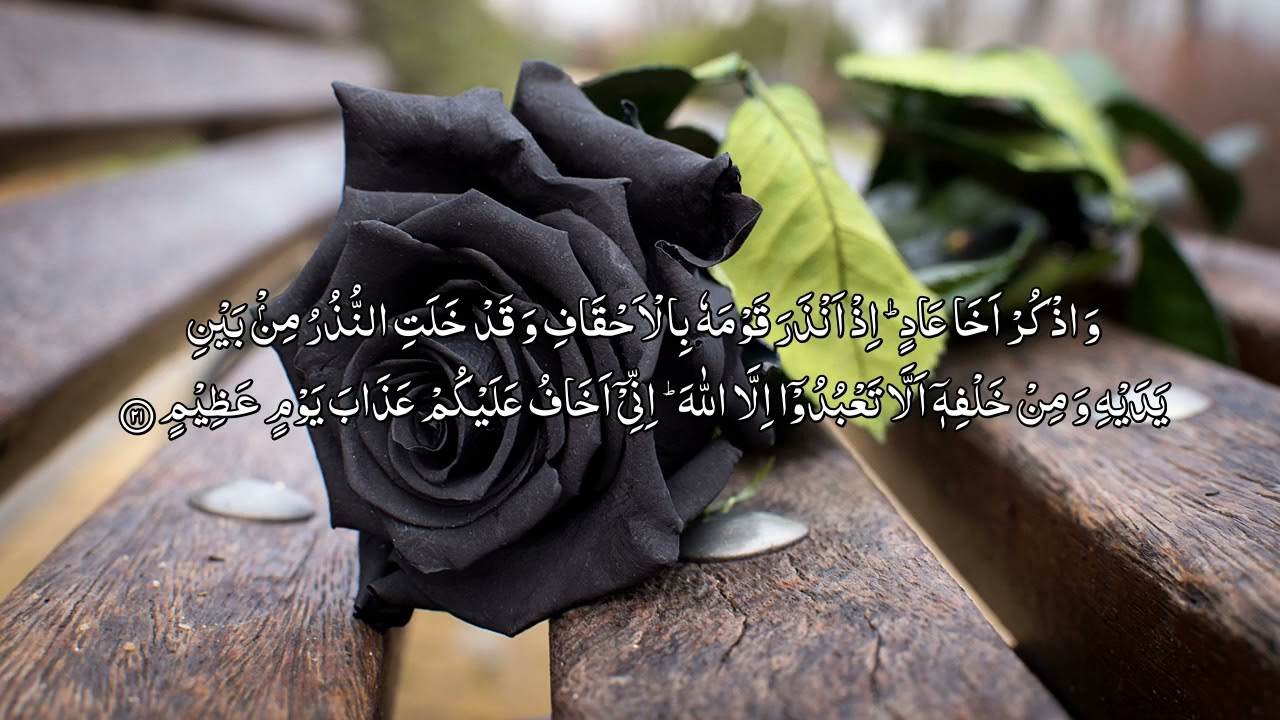 Al Quran Para 26/30 | Maher Al Muaiqly | With Urdu Translation | Verse by Verse