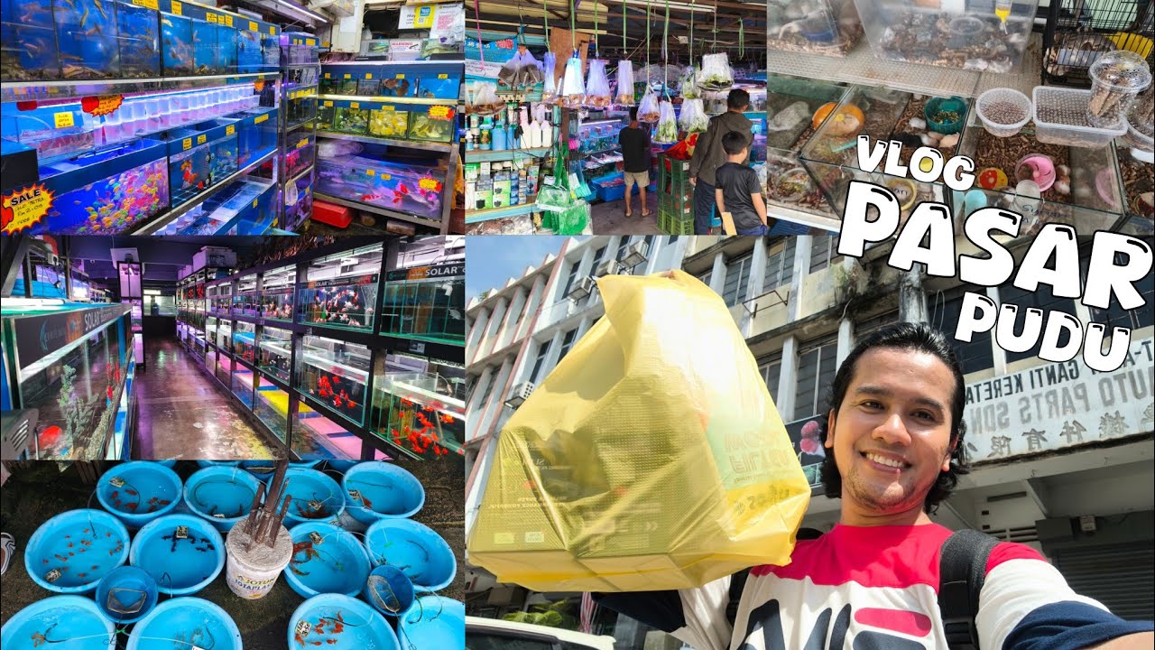 VLOG SHOPPING DI KEDAI AKUARIUM & IKAN PERHIASAN PASAR PUDU | PASAR PUDU SEMAKIN HAMBAR 🥲