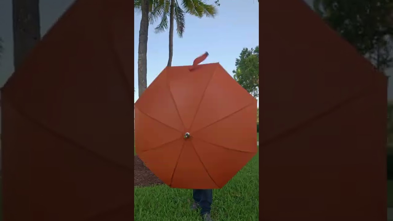 DAVEK - world's strongest & most beautiful umbrellas